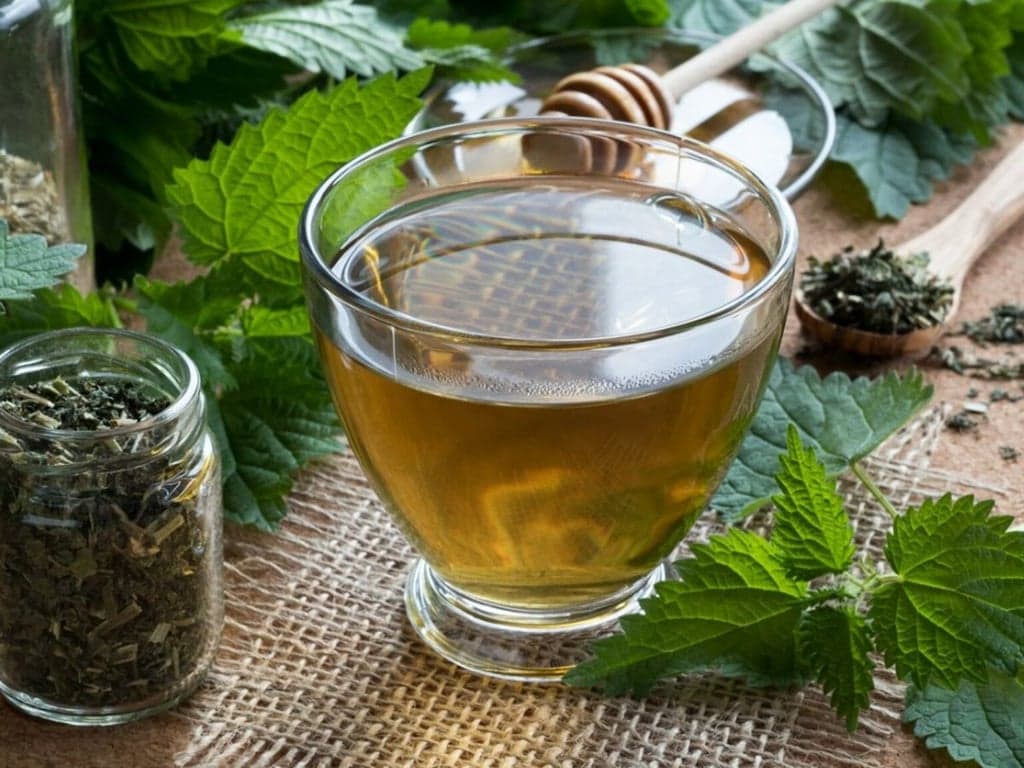 Nettles Tea